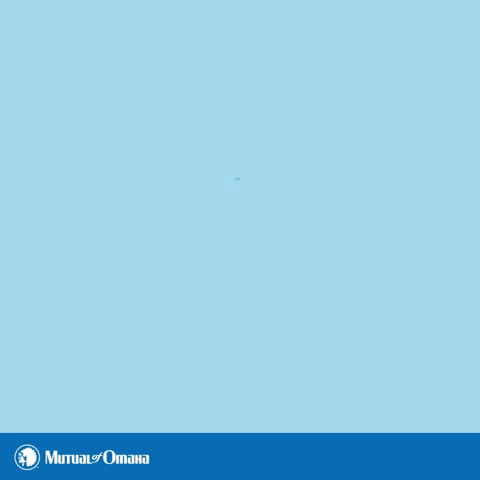 Mutual of Omaha – Memorial Day