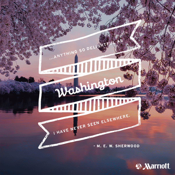 Washington DC Cherry Blossoms Quotes - Marriott