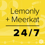 Video Stream img