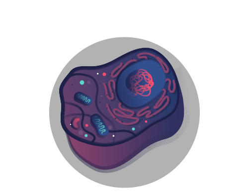 cell