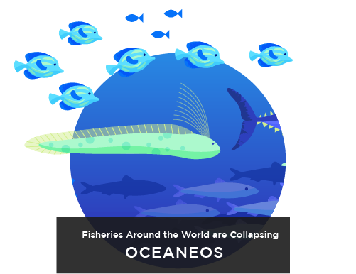 ocean with fish