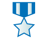 veteran badge