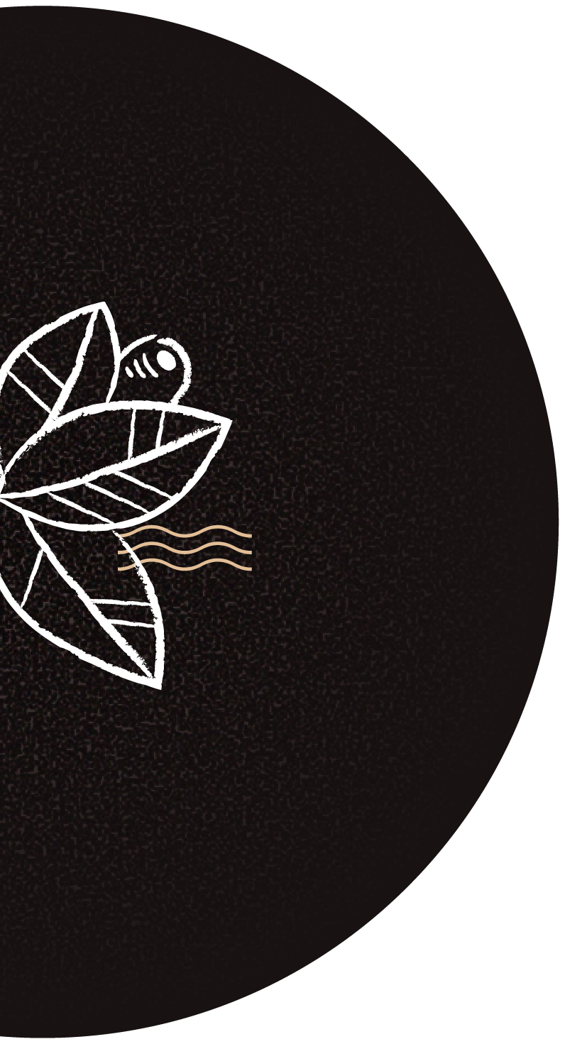 coffee plant