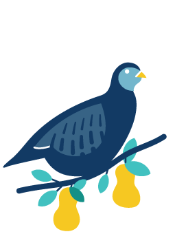 Partridge in a pear tree