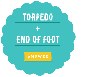 torpedo + end of foot