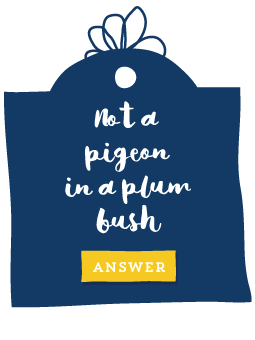 Not a pigeon in a plum bush
